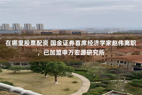 在哪里股票配资 国金证券首席经济学家赵伟离职，已加盟申万宏源研究所
