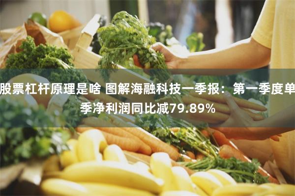 股票杠杆原理是啥 图解海融科技一季报：第一季度单季净利润同比减79.89%