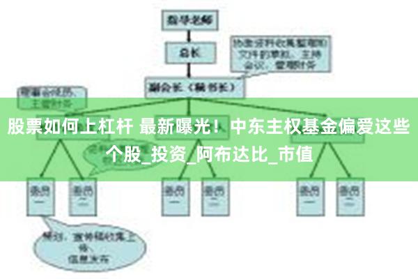 股票如何上杠杆 最新曝光！中东主权基金偏爱这些个股_投资_阿布达比_市值