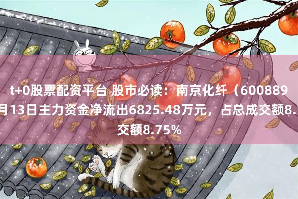 t+0股票配资平台 股市必读：南京化纤（600889）5月13日主力资金净流出6825.48万元，占总成交额8.75%