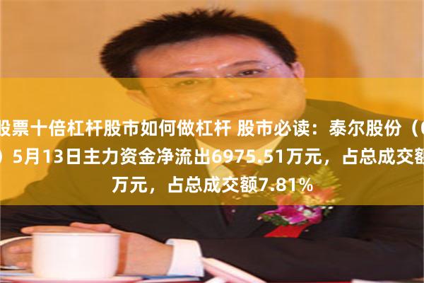 股票十倍杠杆股市如何做杠杆 股市必读：泰尔股份（002347）5月13日主力资金净流出6975.51万元，占总成交额7.81%