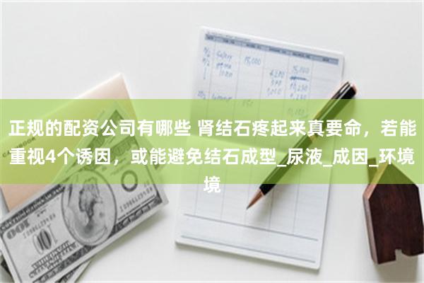 正规的配资公司有哪些 肾结石疼起来真要命，若能重视4个诱因，或能避免结石成型_尿液_成因_环境
