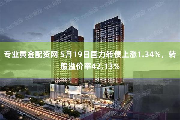 专业黄金配资网 5月19日国力转债上涨1.34%，转股溢价率42.13%