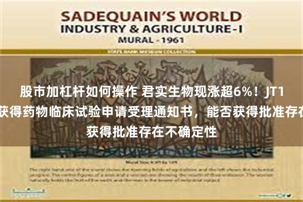 股市加杠杆如何操作 君实生物现涨超6%！JT118注射液获得药物临床试验申请受理通知书，能否获得批准存在不确定性