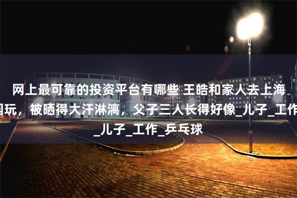 网上最可靠的投资平台有哪些 王皓和家人去上海乐高乐园玩，被晒得大汗淋漓，父子三人长得好像_儿子_工作_乒乓球