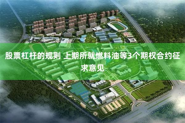 股票杠杆的规则 上期所就燃料油等3个期权合约征求意见