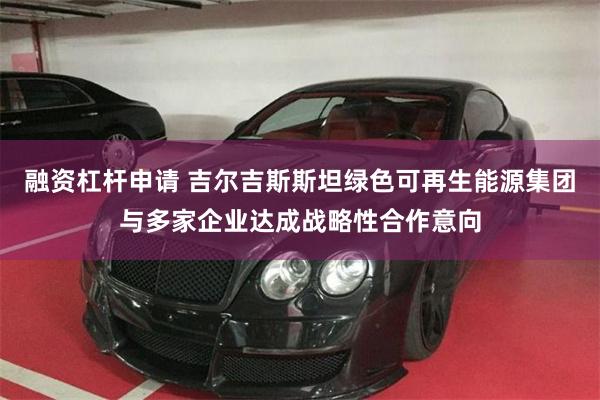 融资杠杆申请 吉尔吉斯斯坦绿色可再生能源集团与多家企业达成战略性合作意向