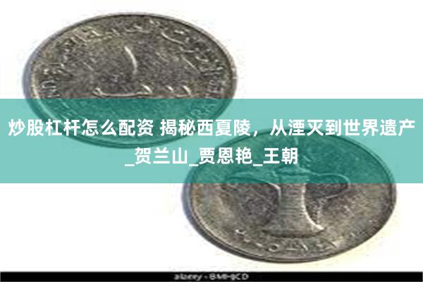 炒股杠杆怎么配资 揭秘西夏陵，从湮灭到世界遗产_贺兰山_贾恩艳_王朝