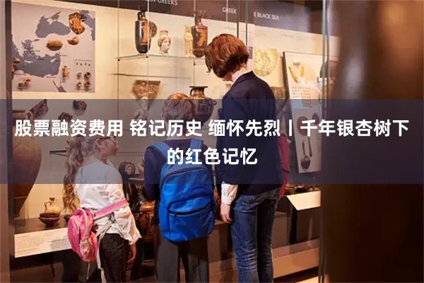 股票融资费用 铭记历史 缅怀先烈丨千年银杏树下的红色记忆