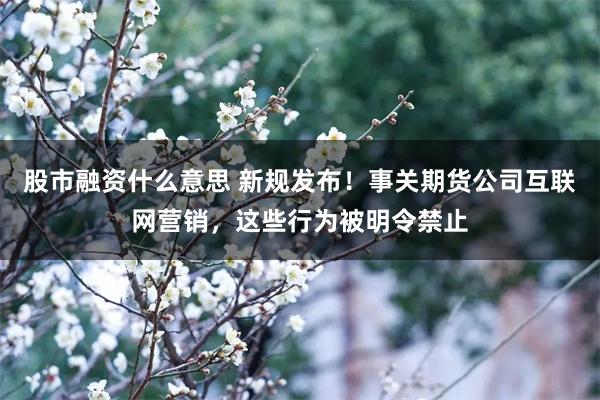 股市融资什么意思 新规发布！事关期货公司互联网营销，这些行为被明令禁止