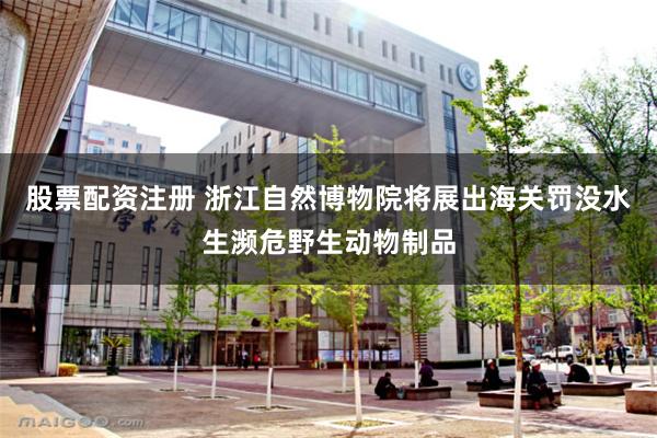 股票配资注册 浙江自然博物院将展出海关罚没水生濒危野生动物制品