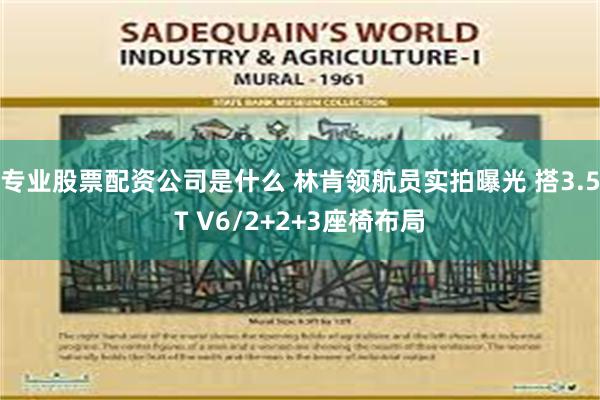 专业股票配资公司是什么 林肯领航员实拍曝光 搭3.5T V6/2+2+3座椅布局